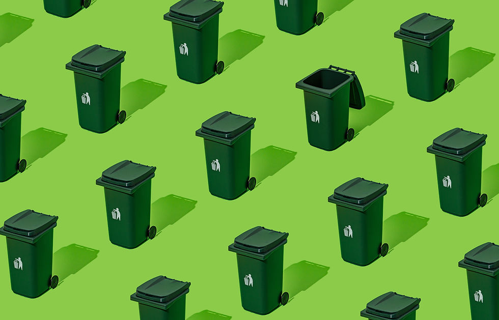 Eco Friendly.jpeg