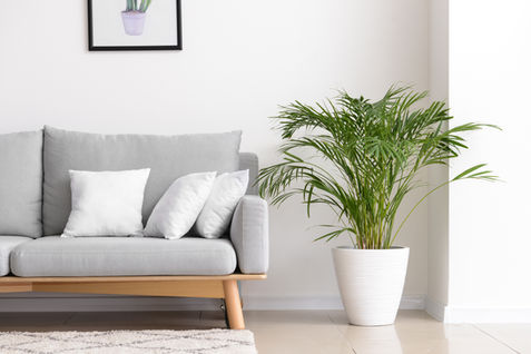green plants