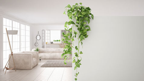 green plants