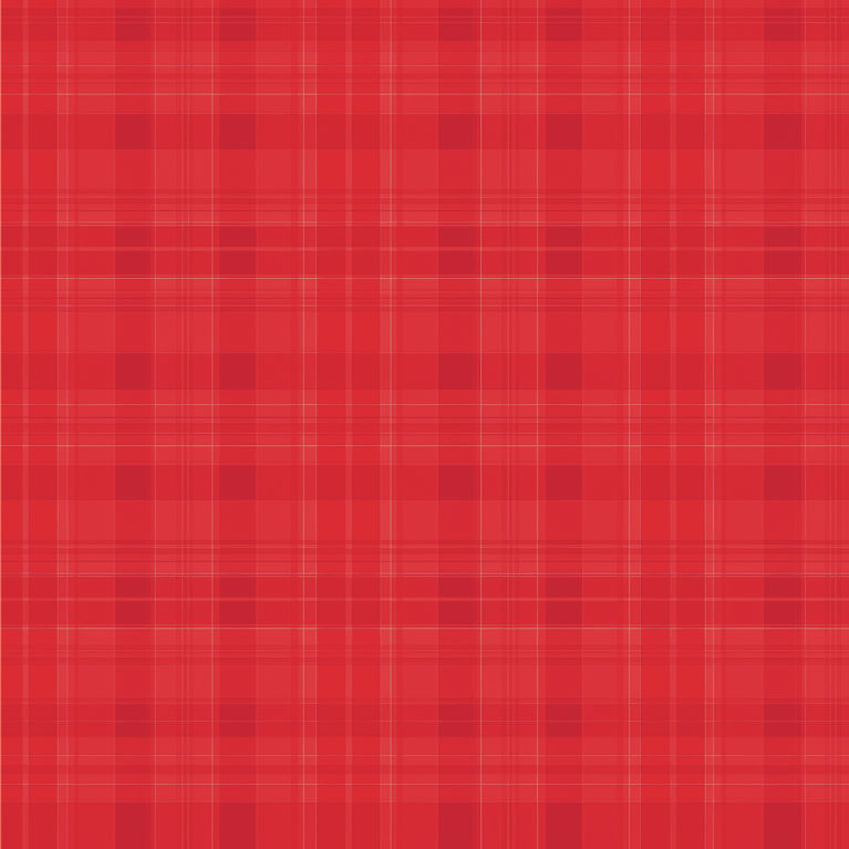 red plaid.jpg