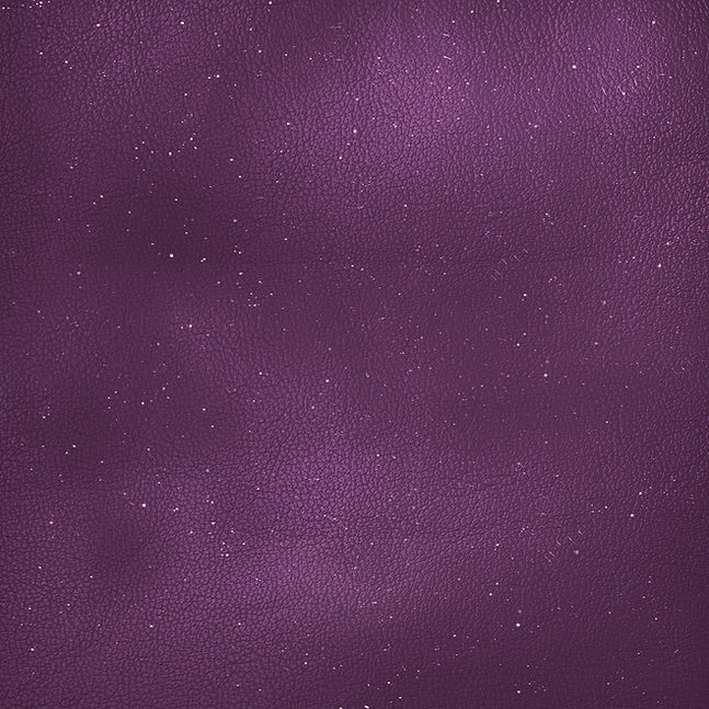 HORR_purple.jpg