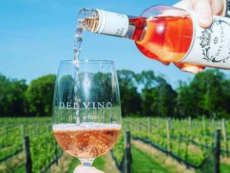 Del Vino Vineyards: The First Vineyard along Long Island's Iconic North Shore