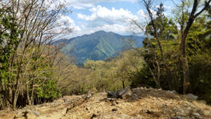 奥多摩 鷹ノ巣山