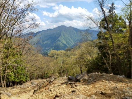 奥多摩 鷹ノ巣山
