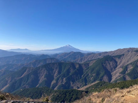 滝子山 南陵