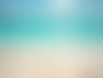 PP Paradis : un coin de paradis à découvrir absolument