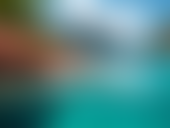 Les meilleurs spots de plongée à Koh Phi Phi