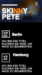 Musik website templates – Rave-DJ