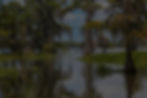 destrehan legal services_edited.jpg