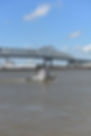 LS2.jpg