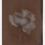 Thumbnail: Soft bloom 1 Brown | Print