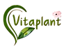 Untitled design (37).png