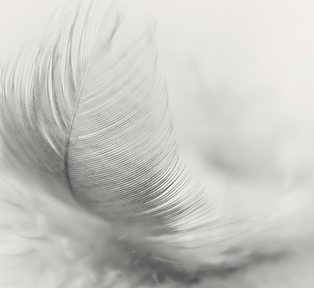 Studio_VS_Behandlungsbilder7