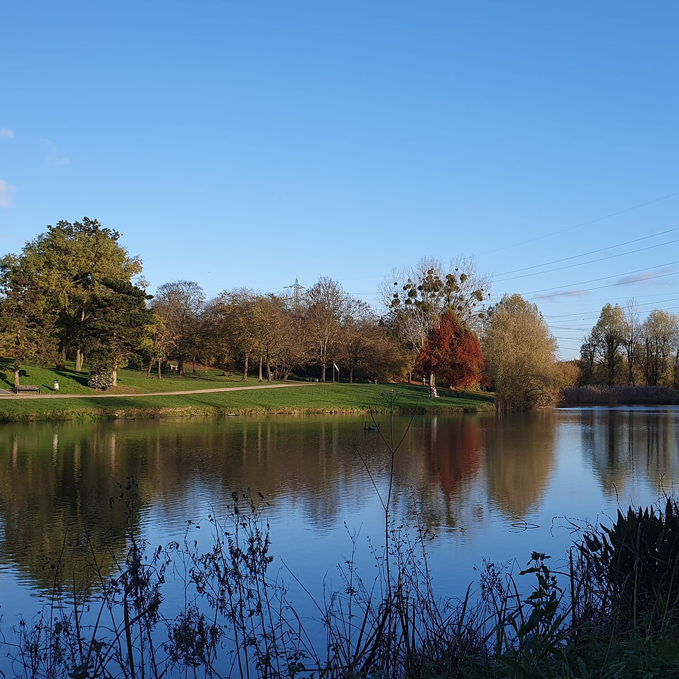 Sortie nature et fête mondiale du jeu