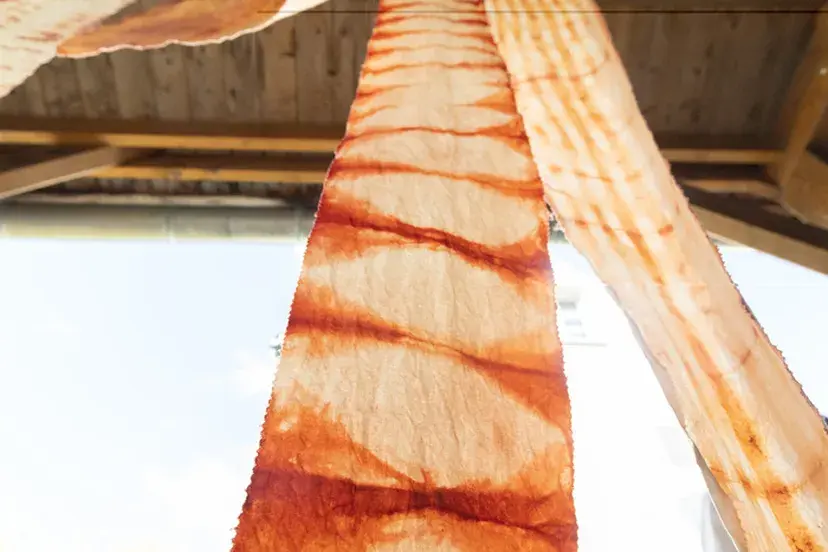 Atelier teinture végétale