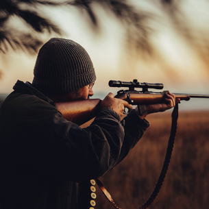 The 2nd Amendment & Gun Violence