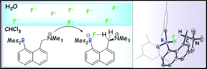 BlankImg.png