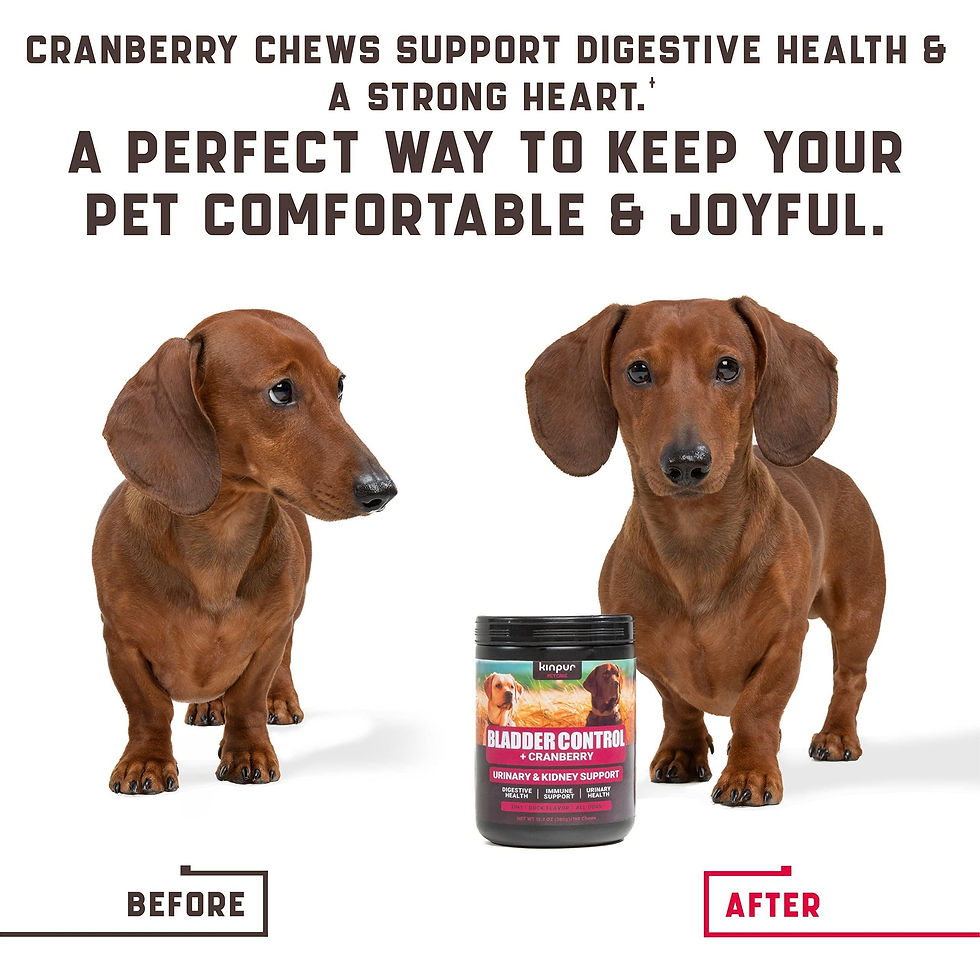 Thumbnail: 180 Pcs Cranberry Chews Dog Cranberry Supplement Natural Aid for Urinary Tract