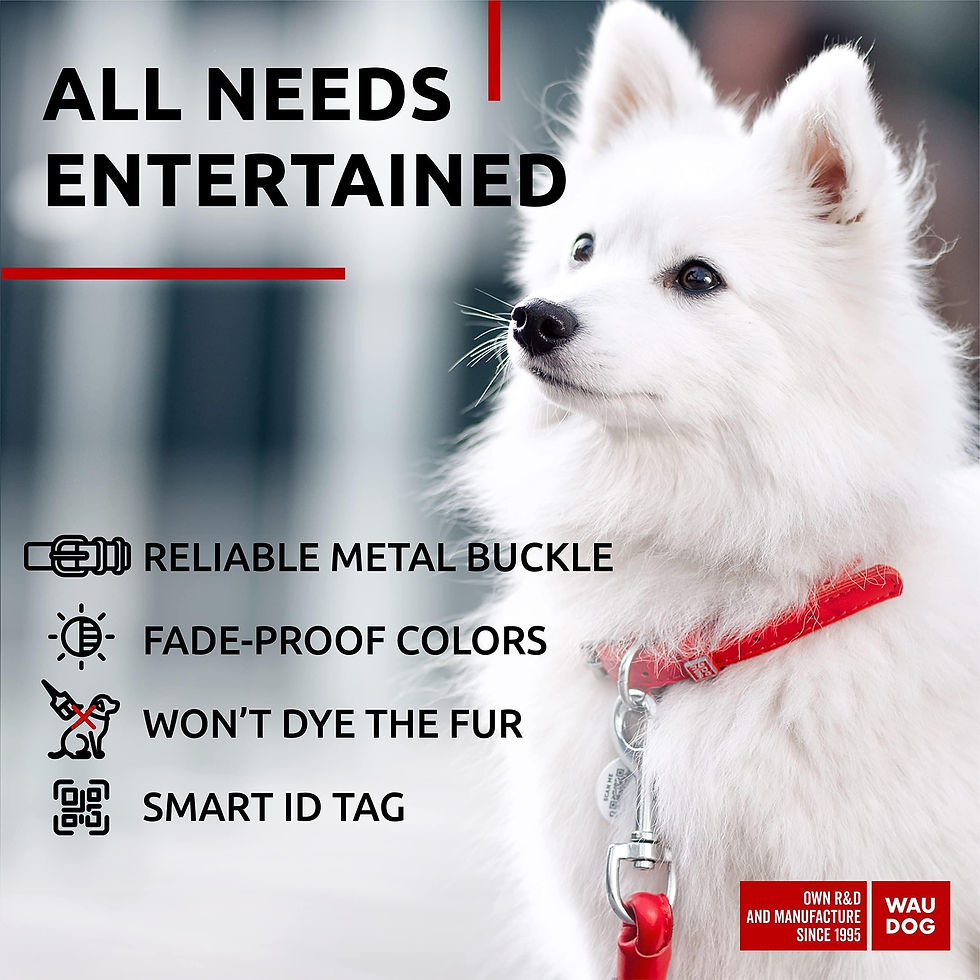 Thumbnail: Red Ultra Soft Rolled Leather Dog Collar for XSmall Dogs 1013 inch Neck