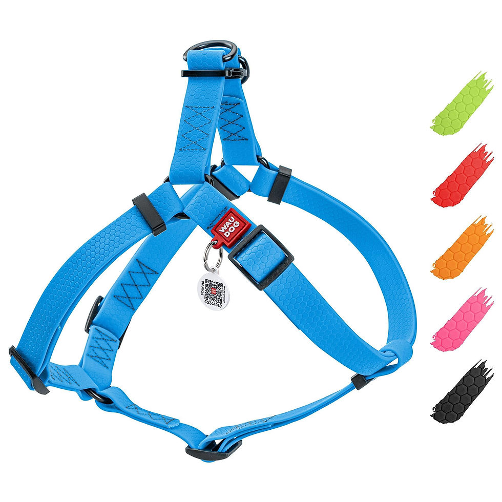 Thumbnail: Blue Waterproof Dog Harness Adjustable for Large Dogs S Size 1622 inch