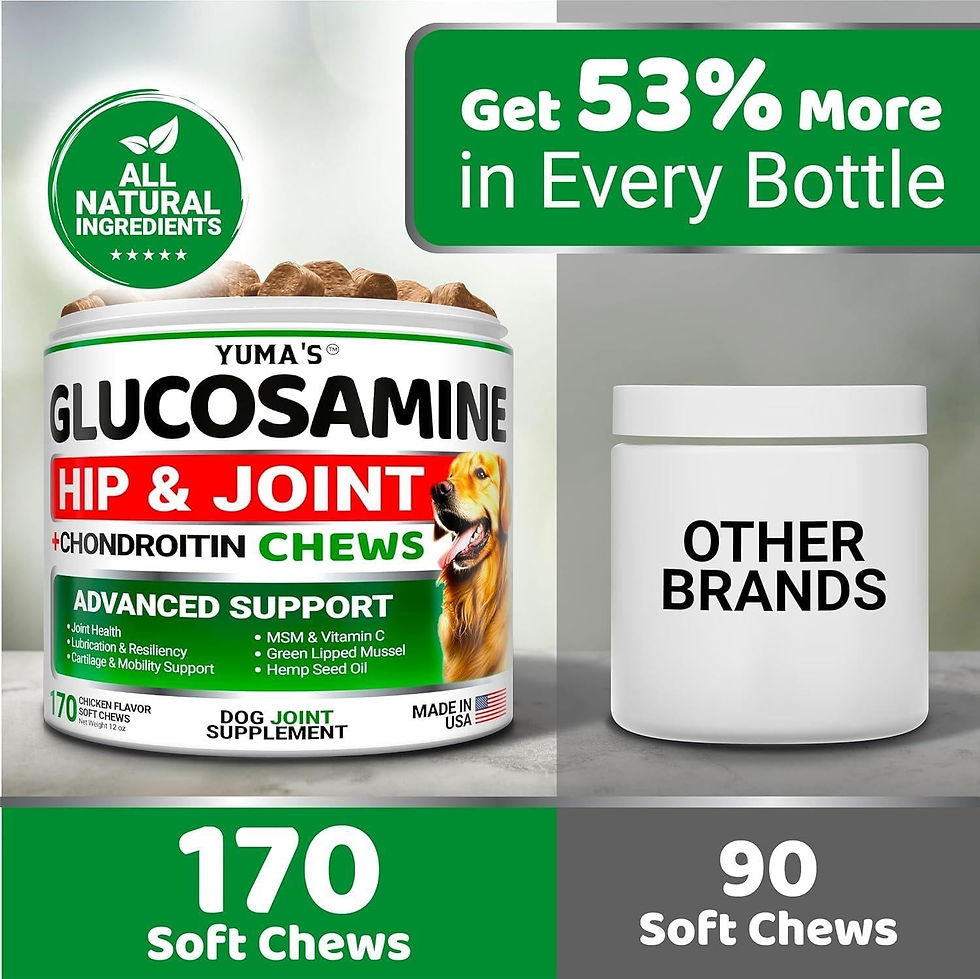 Thumbnail: 2 Pack Glucosamine for Dogs with Chondroitin Joint Pain Relief Made in USA