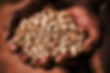 Coffee Ethio 3.jpg