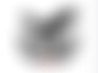 FREE BIRD: delivers a clean, crisp taste that'll make your taste buds stand up and salute.