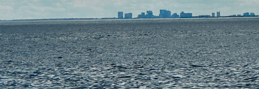 IMG_2416.jpg