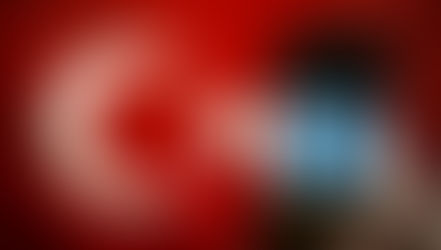 Twitter "Transparency Report" 2021: Turkey
