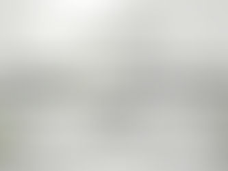 CCIMC | This is article "Regulatory Changes in the Provincial Nominee Program (PNP) by Yury Vilin, RCIC."