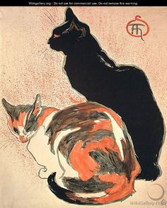 Thumbnail: Cats