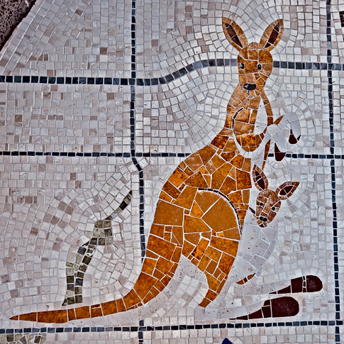 Kangaroo