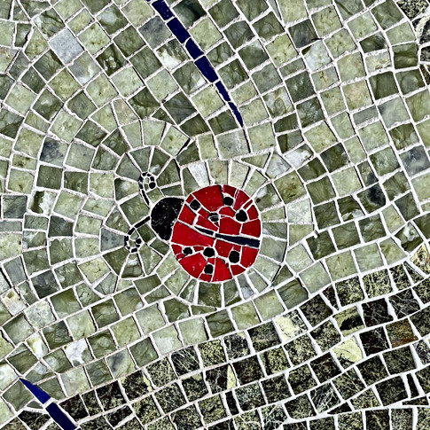 Another ladybug