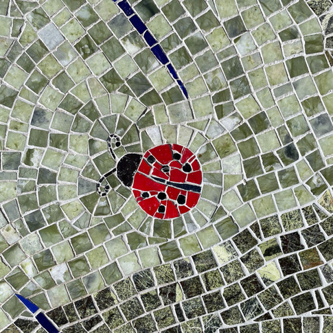 Another ladybug