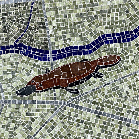 Platypus