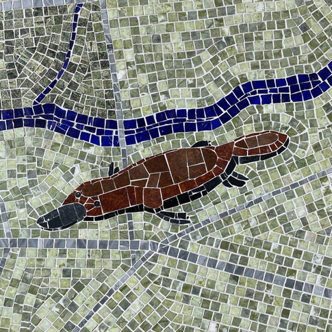 Platypus