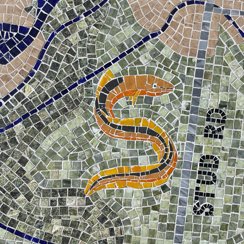 Eel
