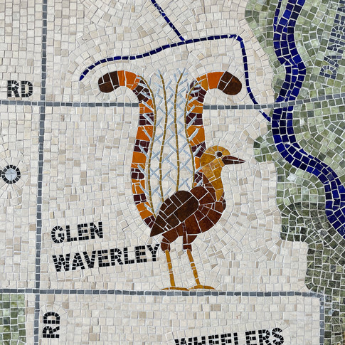 Lyrebird