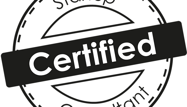 Certified_Startup_Consultant1.png