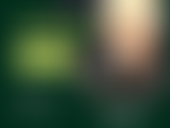 Reunião de líderes