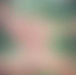 Livros de Jamê Nobre