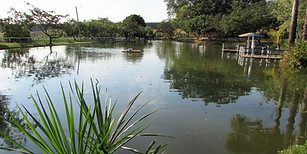 IMG_1164.jpg