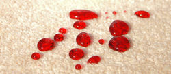 EC_TEX_P_CARPET_WINE1.jpg