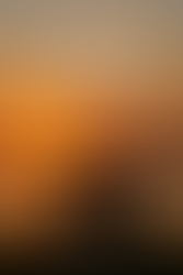 How Many Summers Do You Have Left?