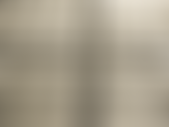 Understanding Race: A Construct of Division