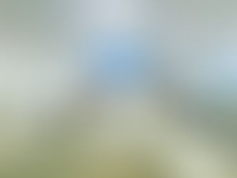 Keep Your Horse Riding Stable in Flawless Condition with PVC Wall Panels