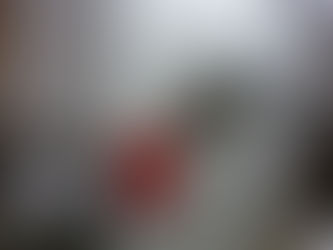 Is Daily Maintenance a Real Struggle? Fix It Now with PVC Commercial Kitchen Walls