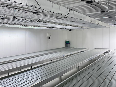 5 Proven Reasons You May Actually Regret Installing FRP Panels For Grow Rooms