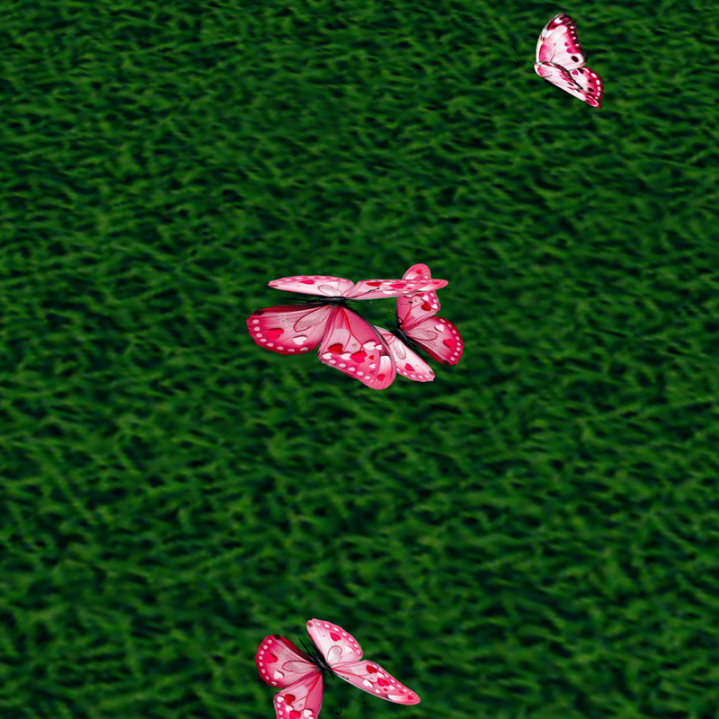 ButterflIES.gif