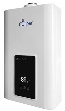 TTulpe C-Meister 13 P30 Eco